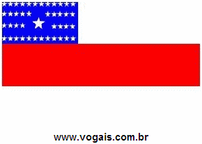 Bandeira do Amazonas